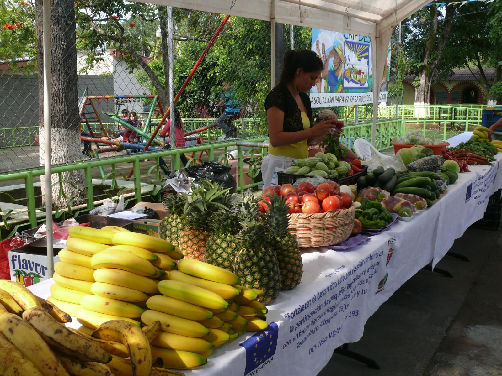 Promoción del derecho a la alimentación en comunidades La Pita y Chaguiton, del municipio de Suchitoto, Departamento de Cuscatlán. El Salvador